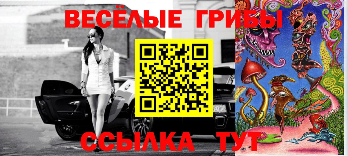 Псилоцибиновые грибы Psilocybine cubensis  Галлюциногенные грибы GOLDEN TEACHER  как найти закладки  Воронеж  Вход с VPN 