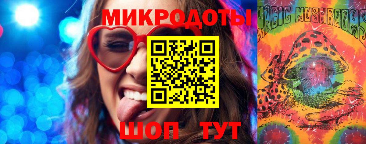 Псилоцибиновые грибы Psilocybine cubensis Воронеж